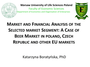 Financial Analysis - Visegrad University Association