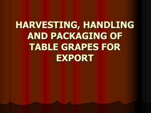 harvesting, handling and packaging of table grapes for