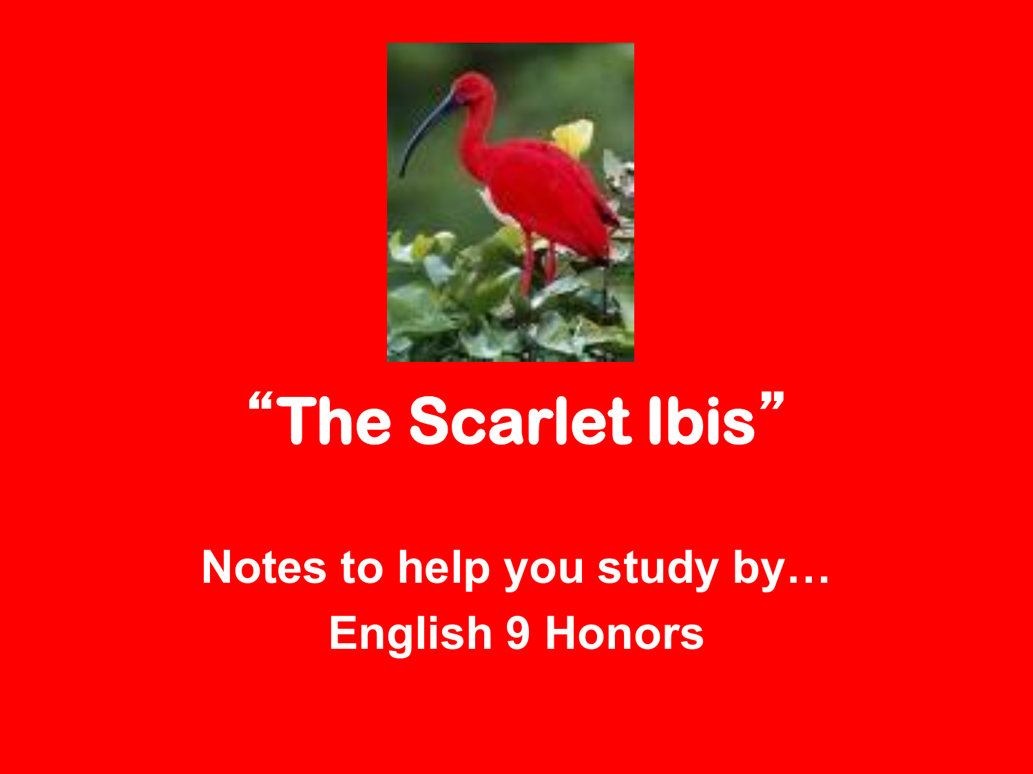 scarlet ibis final essay