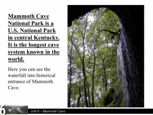 Unit 6 – Mammoth Cave Many cave creatures are uniquely adapted