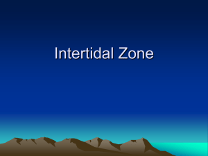 Intro to Intertidal Zone