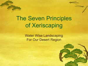 The Seven Principles of Xeriscaping