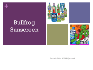 BullFrog Sunblock Media Plan