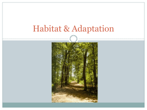 habitat & adaptation