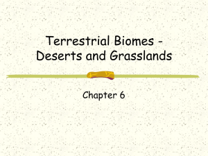 Biomes - Deserts and Grasslands