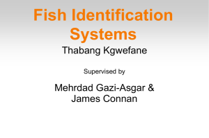 Fish Identification Systems
