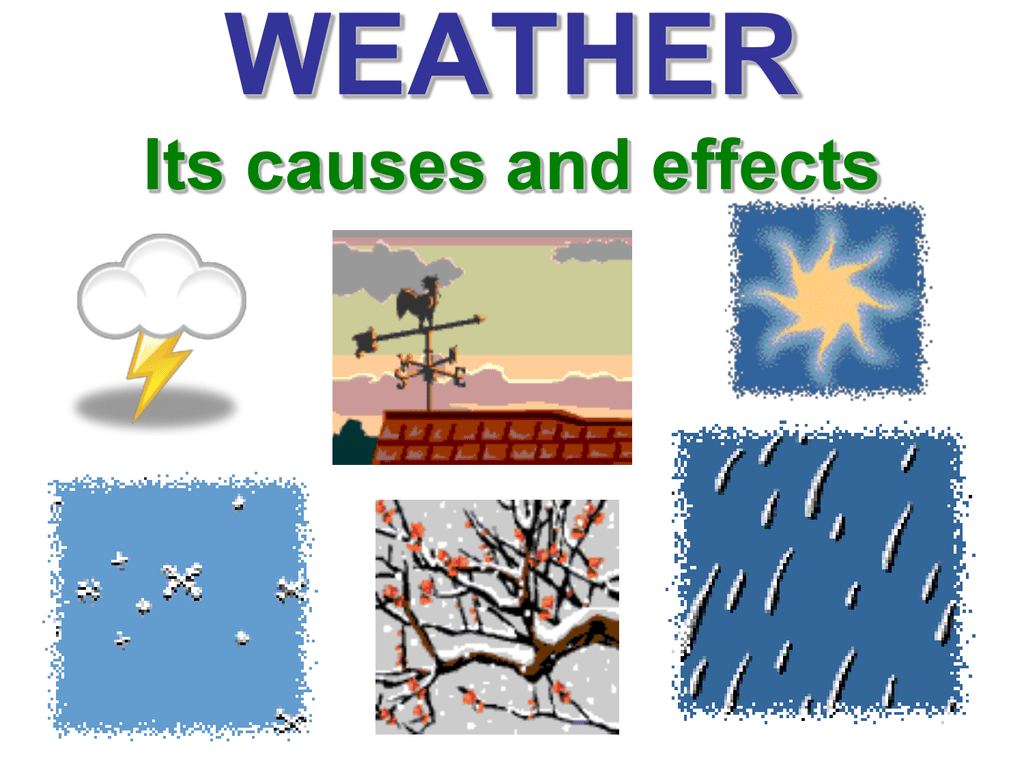 weather research project 6th grade