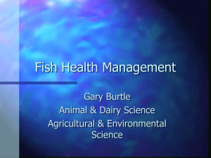 Fish Health Management - UGA College of Agricultural and