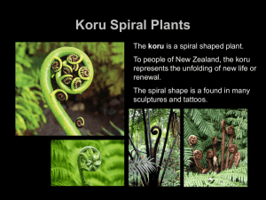 Koru Spiral Plants