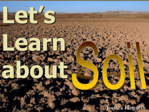 Let`s Learn about Soil