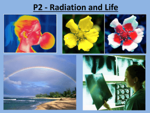 P2 - Radiation and Life