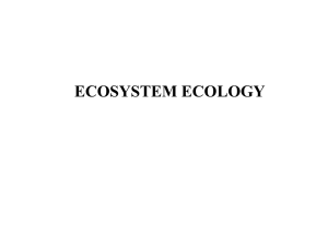 Ecosystem Ecology: Energy Flow & Nutrient Cycling