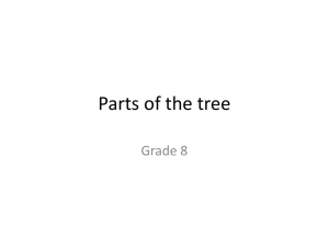 Parts of the tree - Industrial Techniques grade 8