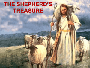 The Shepherd`s Treasure