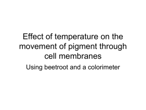 Effect of temp on membranes
