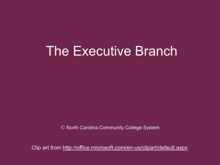 lesson-6-the-executive-branch-nc-net