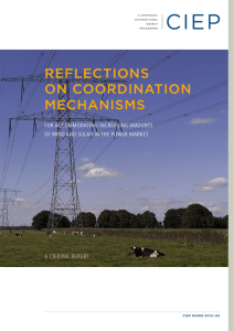 REFLECTIONS ON COORDINATION MECHANISMS