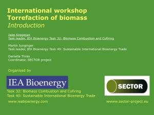 IEA Bioenergy Task 32
