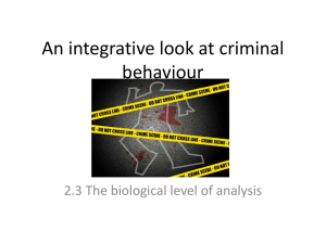 An integrative look at criminal behaviour