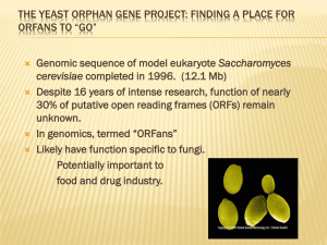 The Yeast Orphan Gene Project: Finding a Place for ORFans to