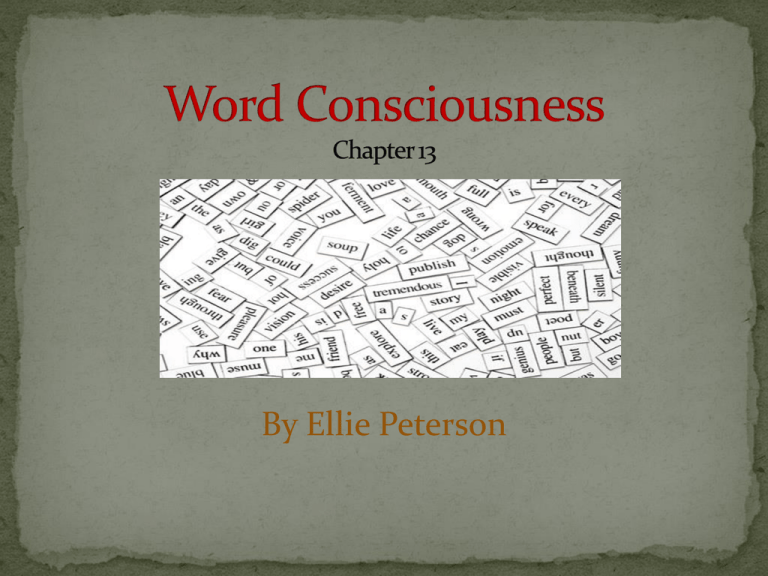 is-the-word-consciousness-the-most-accurate-way-of-pointing-to-our