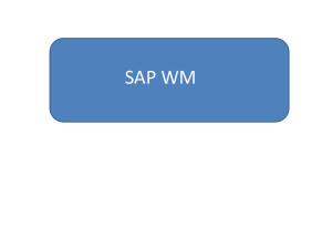 SAP WM Overview Wanzi