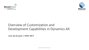 Overview of Customization and Development Capabilities in