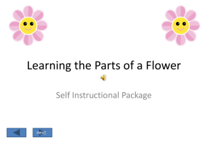 Learning the Parts of a Flower