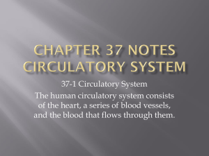 Chapter 37 Notes Circulatory and Respiratory Systems