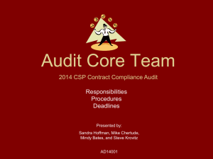 (i) The Audit Core Team will