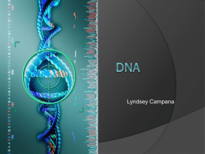 DNA Midterm