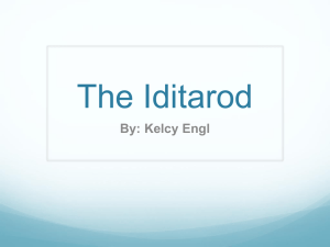 The Iditarod
