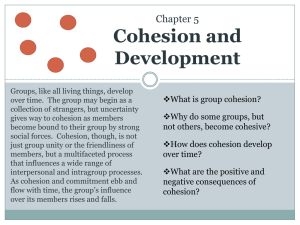 5 Cohesion and Development - team7
