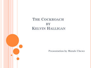 The Cockroach Kelvin Halligan