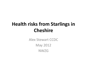 Health risks from Starlings in Cheshire