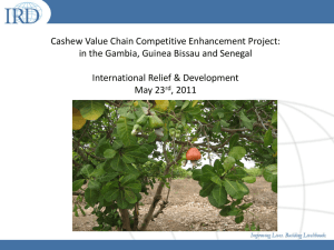 IRD Gambia, Guinea Bissau, Sengal Cashew Value