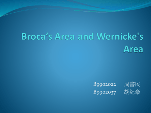 Broca`s area