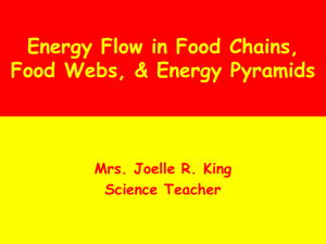 7-4.2 - Food Chains Food Webs and Energy Pyramids