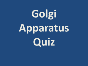 Golgi Apparatus Quiz