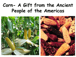 corn - PartnersinEducation