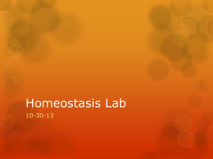 Homeostasis Lab