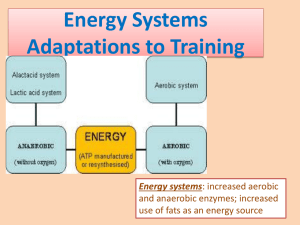 Energy systems adaptations to long term training