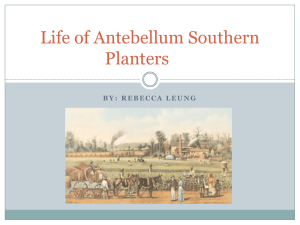 Life of Antebellum Southern Planters