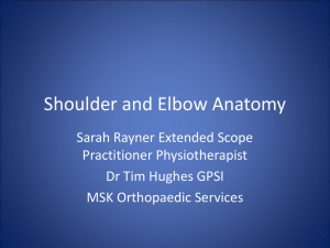 Shoulder anatomy (MS Powerpoint)