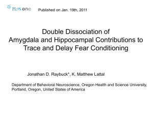 Double Dissociation of Amygdala and Hippocampal Contributions to