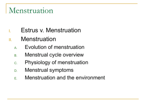 Estrus v. Menstruation