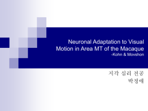 Neurinal Adaptation to Visual Motion in Area MT of the Macaque