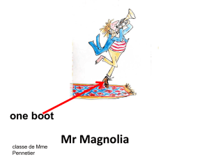 Mr Magnolia one boot