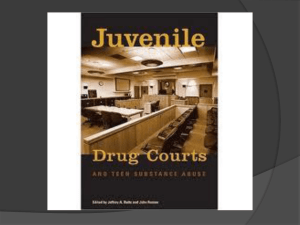 16 strategies for a successful juvenile drug court