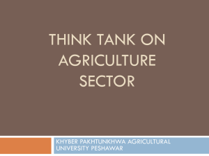 think tank on agricultural sector - N.W.F.P Agricultural University